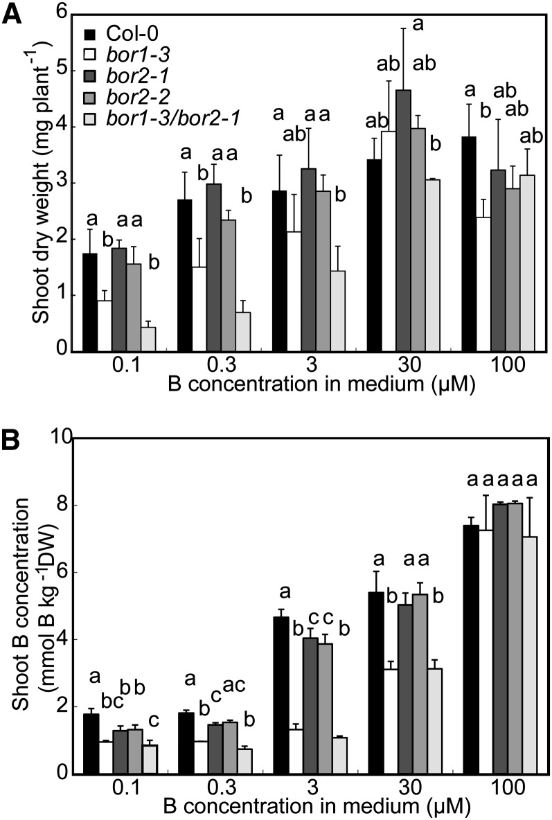 Figure 5.