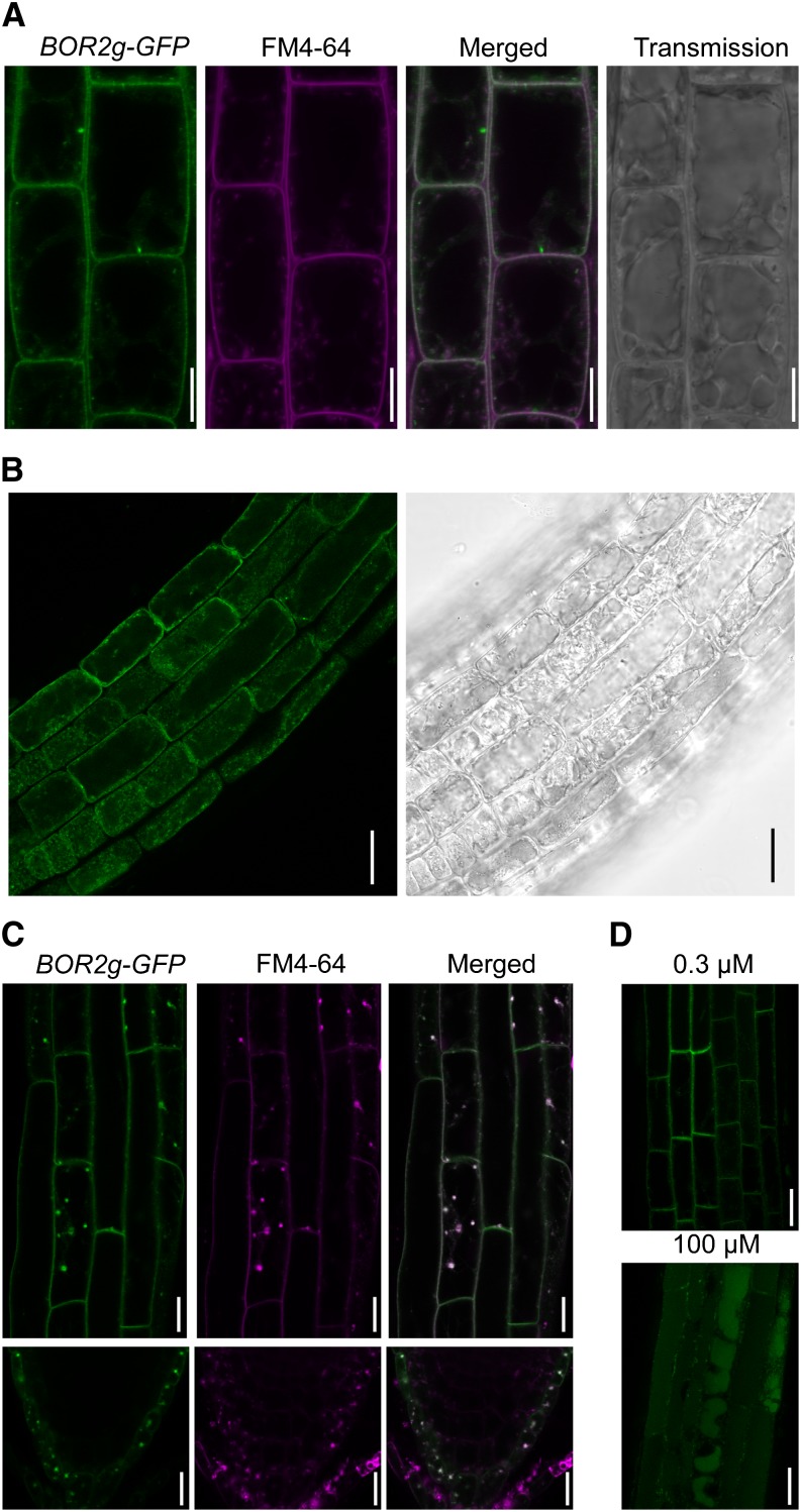 Figure 3.