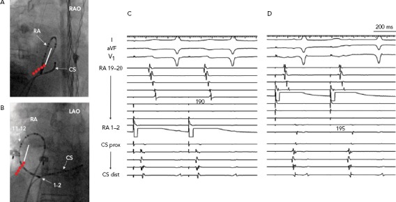 Figure 6: