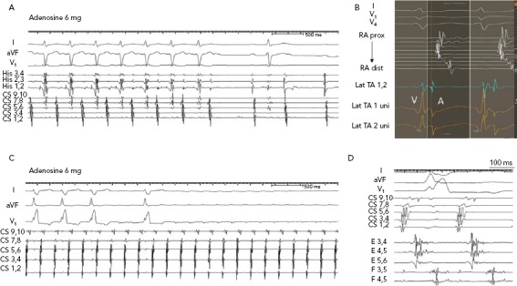 Figure 1: