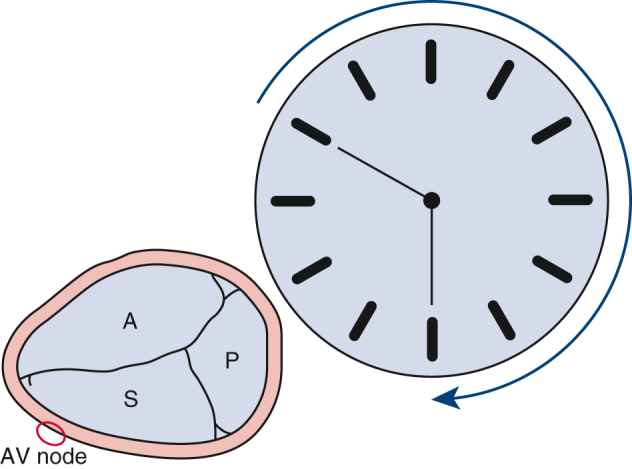 graphic file with name fx1.jpg