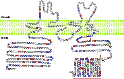 Figure  5. 