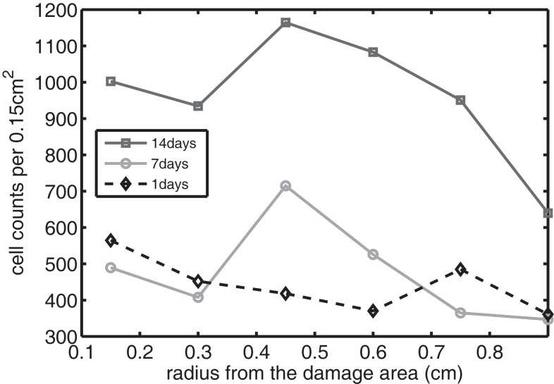 Figure 11