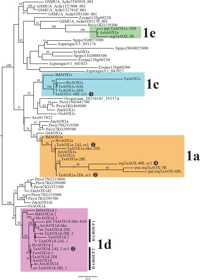 Fig 1