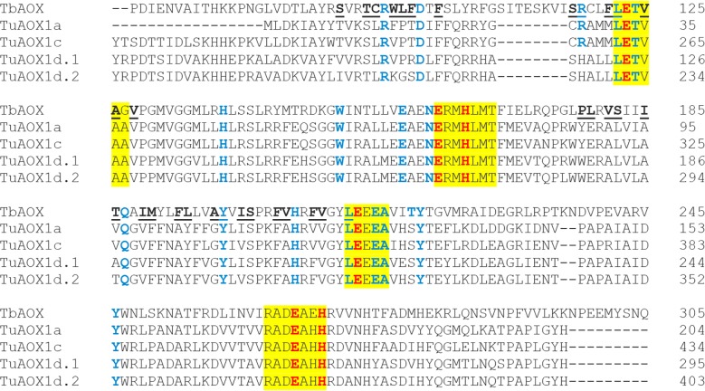 Fig 12