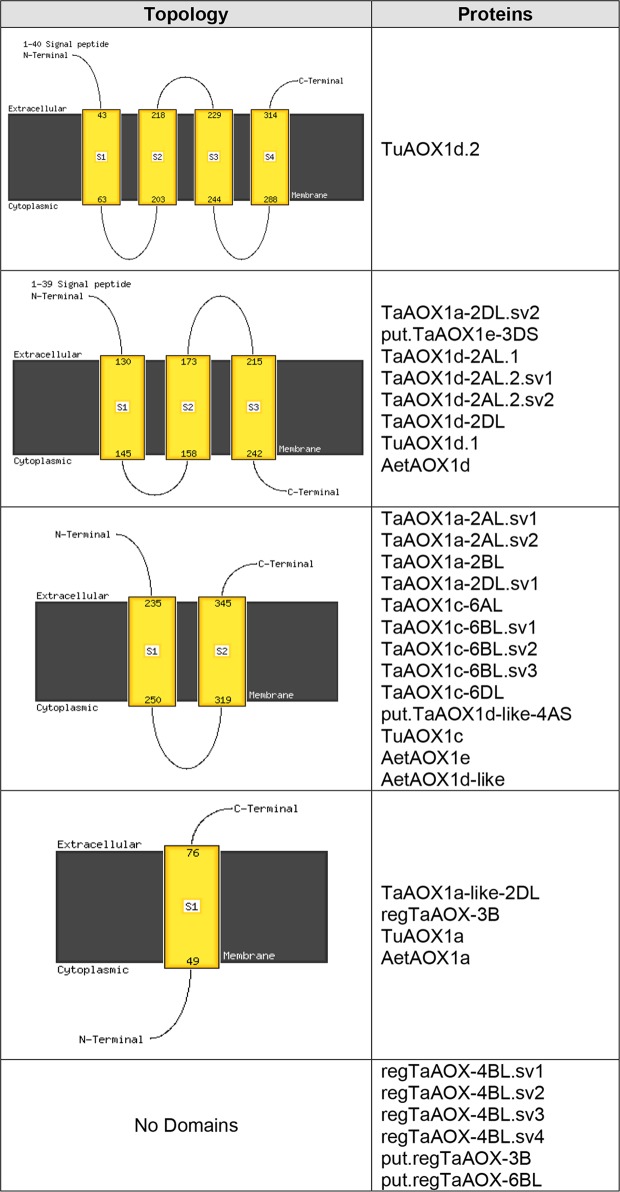 Fig 10