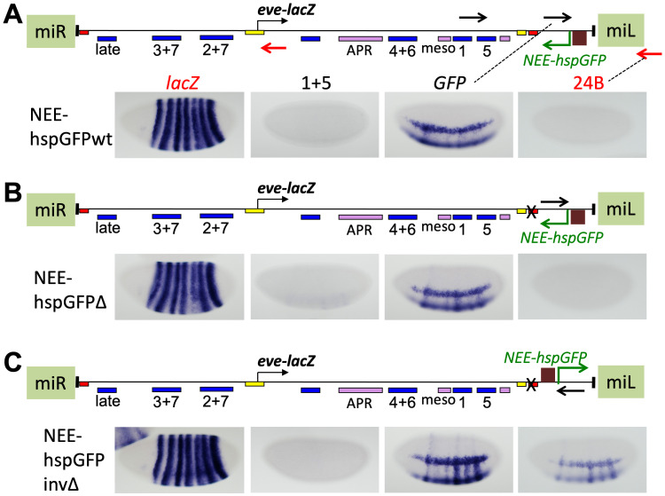 Fig 6