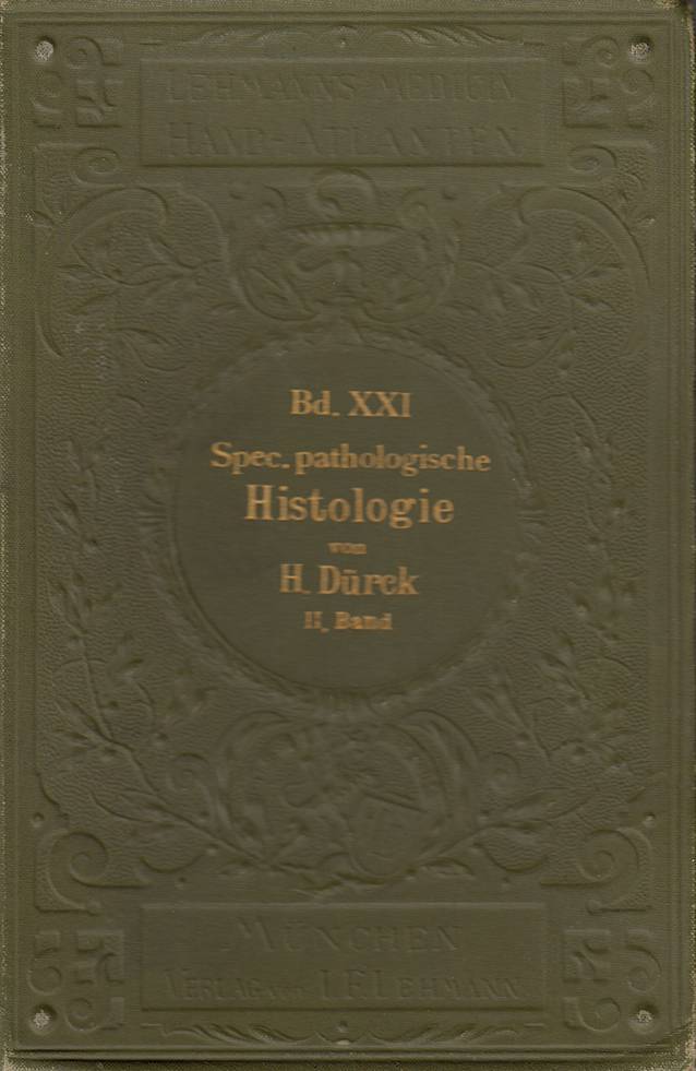 graphic file with name 120_2020_1389_Fig5_HTML.jpg