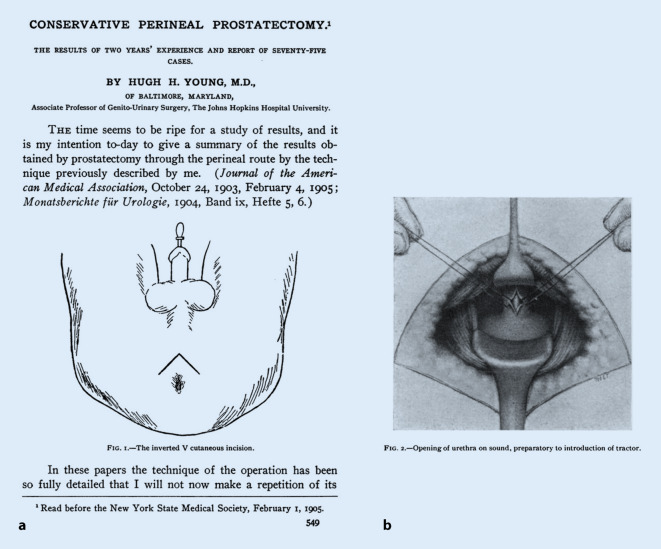 graphic file with name 120_2020_1389_Fig3_HTML.jpg