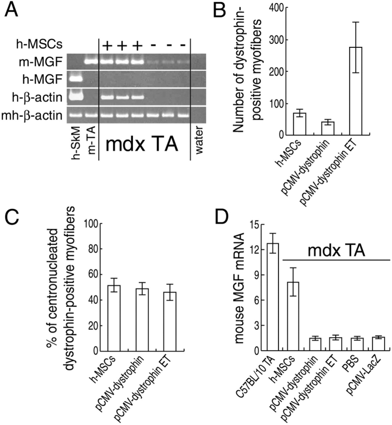 Figure 6.