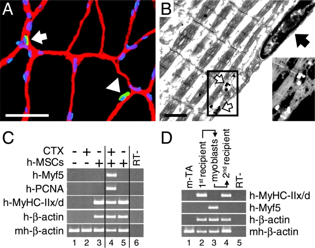 Figure 4.