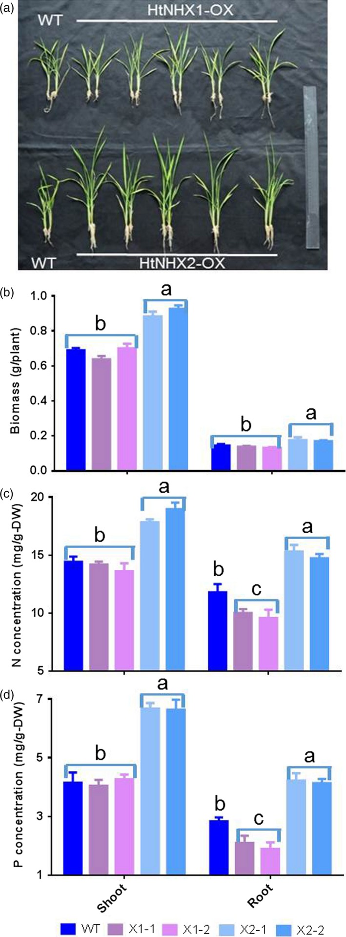 Figure 7