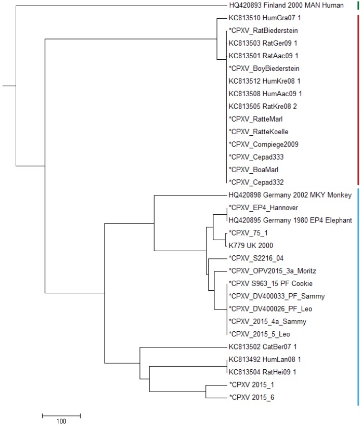 Figure 2