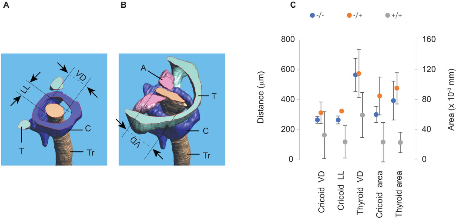 Figure 3: