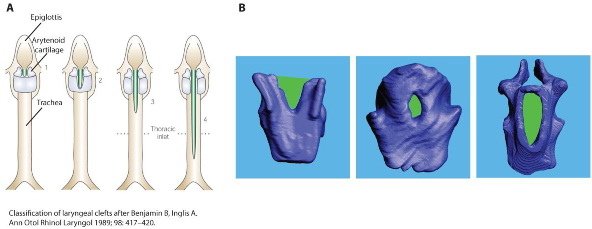 Figure 6: