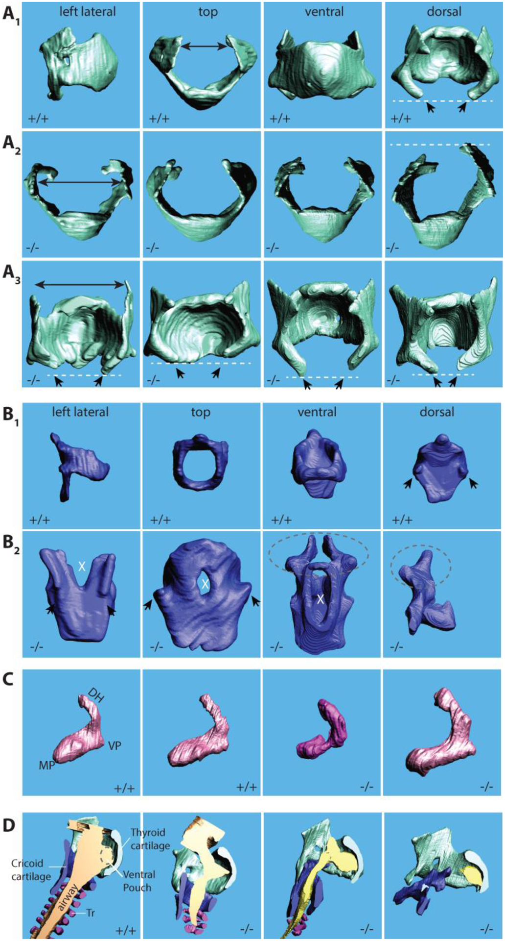 Figure 2: