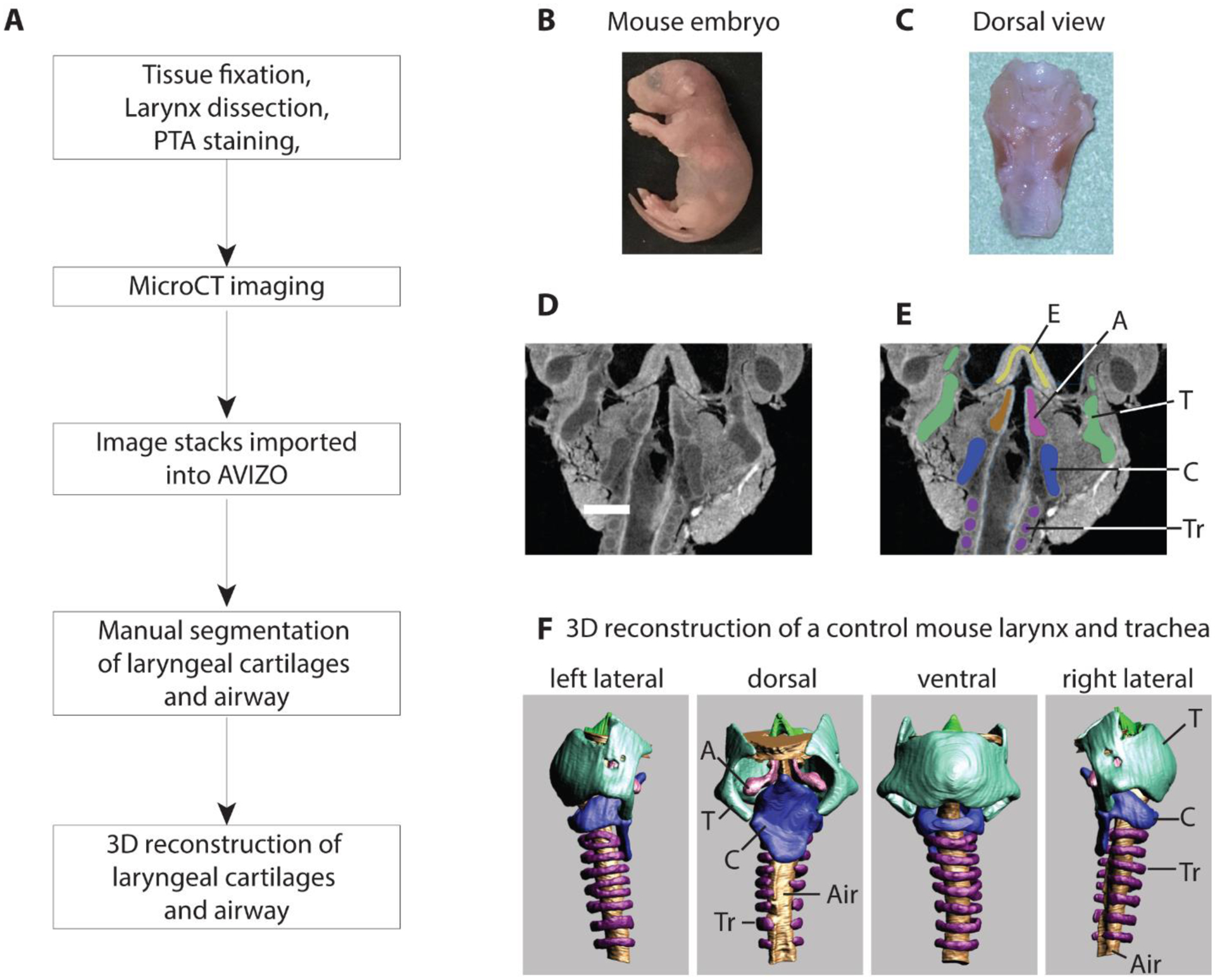 Figure 1: