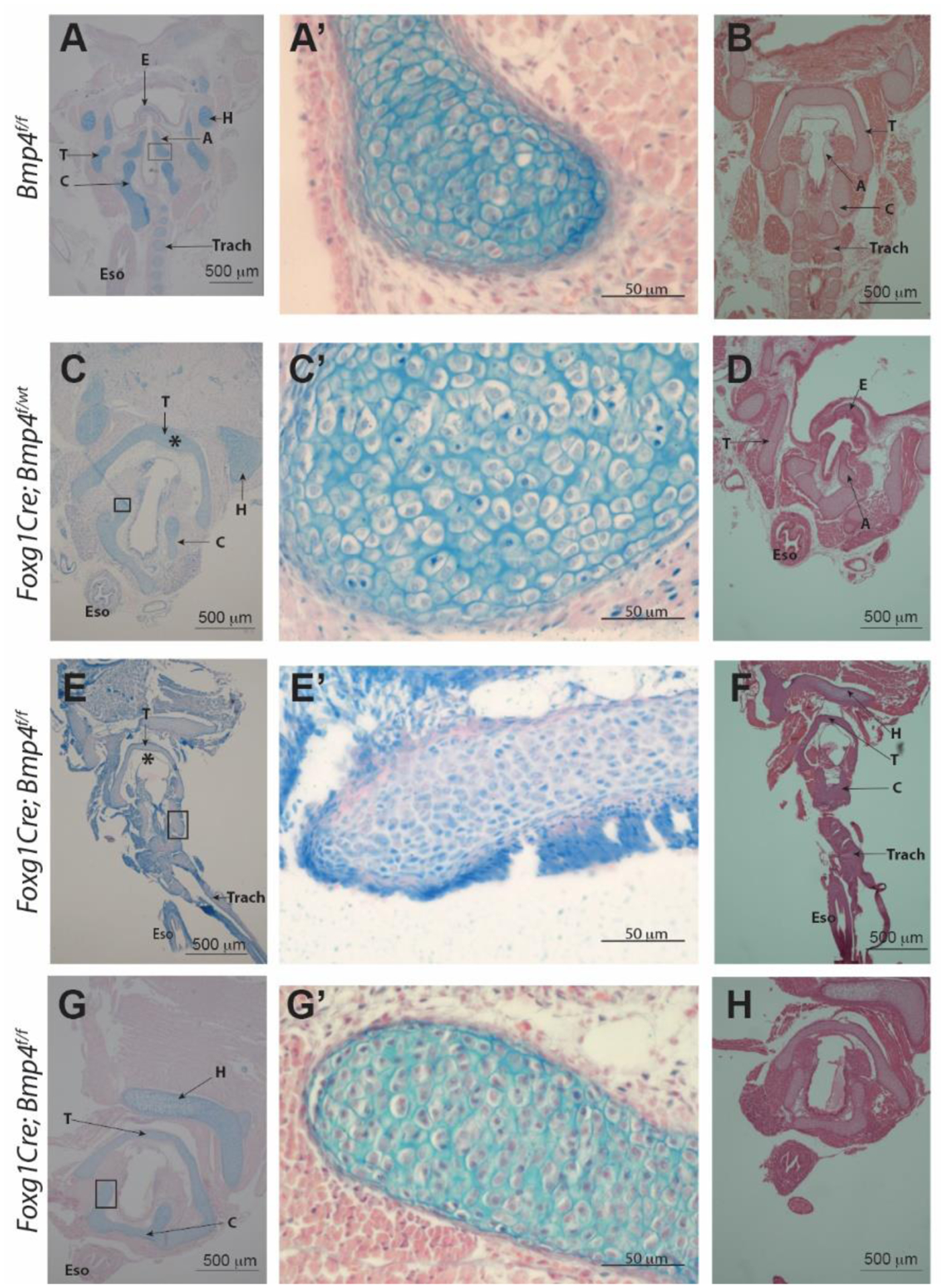 Figure 4: