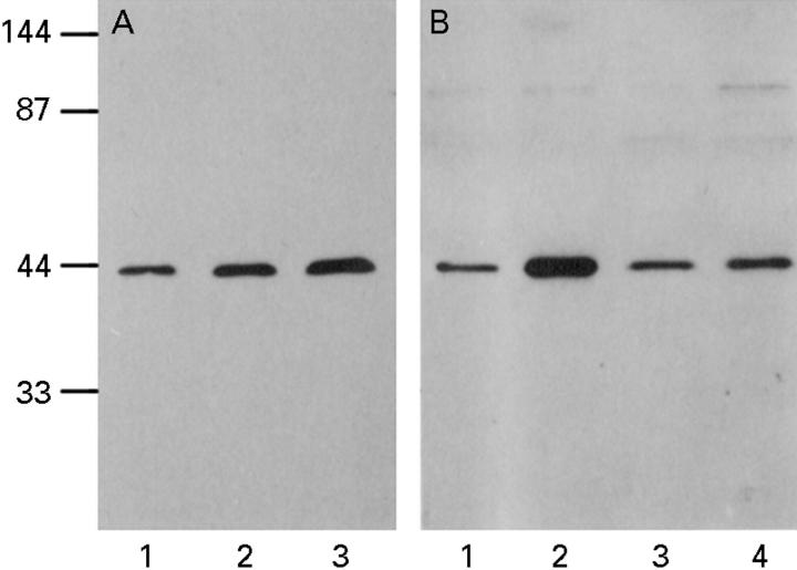 Figure 4  