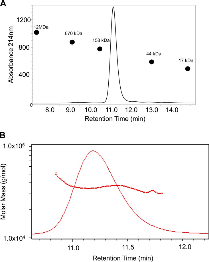 FIG 2