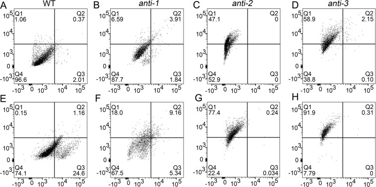 Figure 5