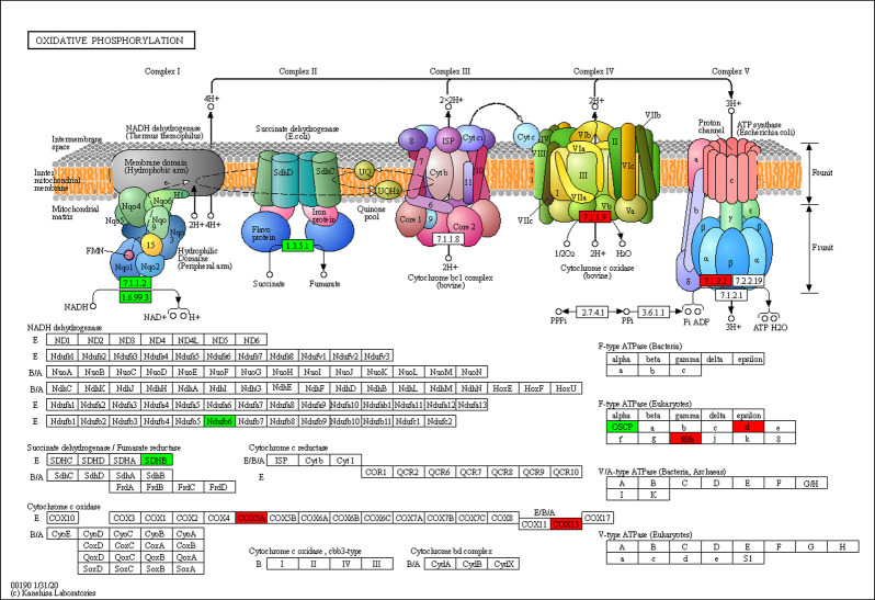 Fig 3