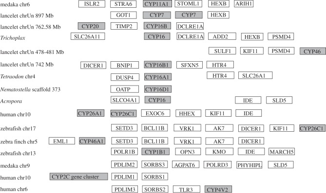 Figure 9.