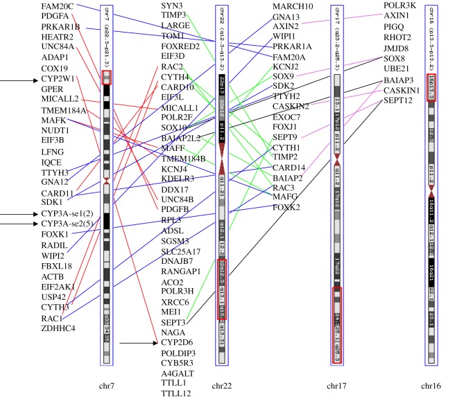 Figure 7.