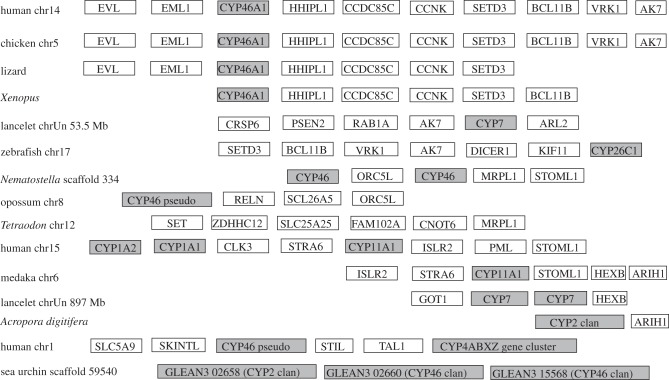 Figure 10.