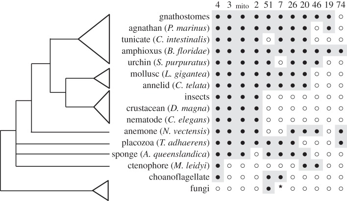 Figure 4.