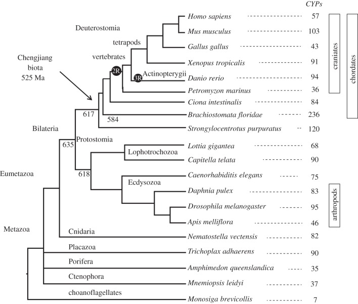 Figure 1.