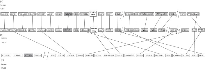 Figure 6.