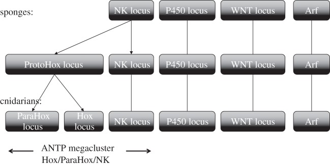 Figure 11.