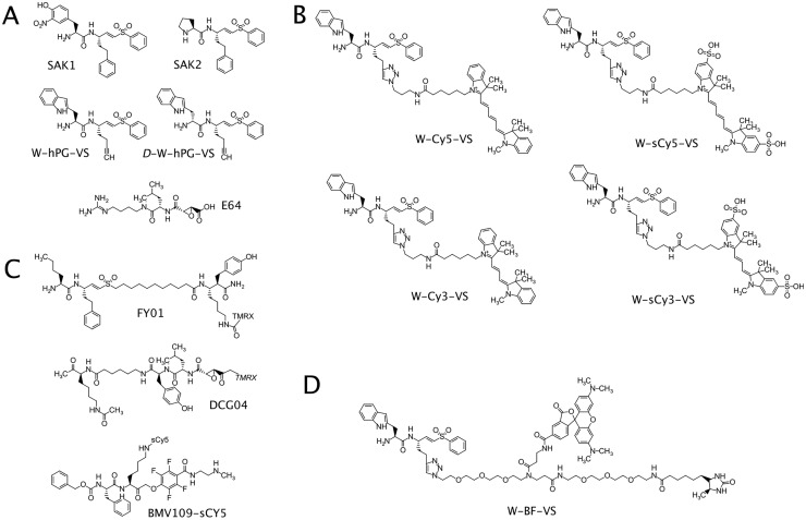 Fig 1