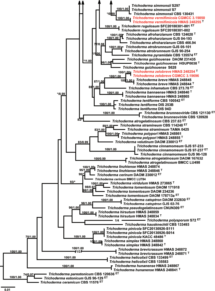 Figure 1.