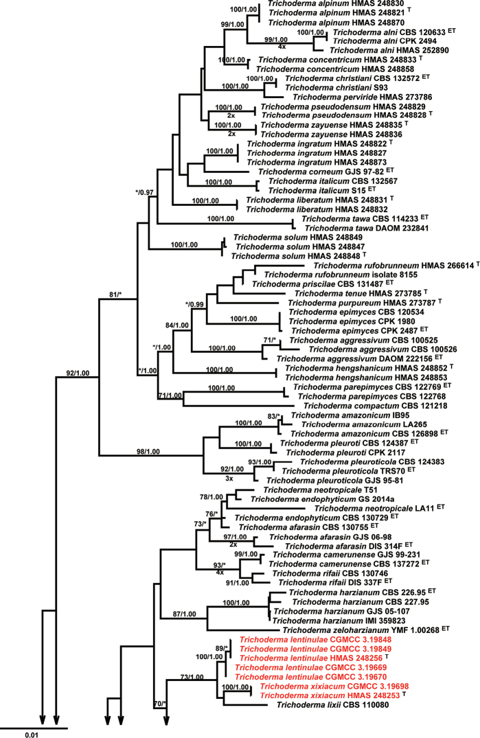 Figure 1.