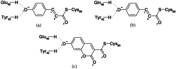 SCHEME 2