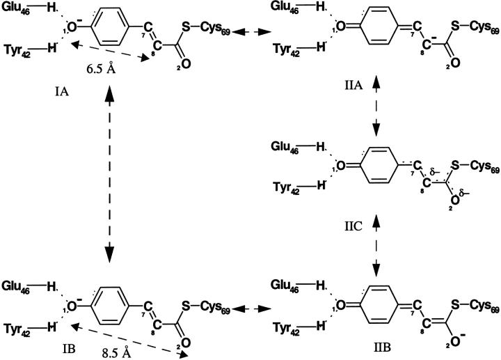 SCHEME 3