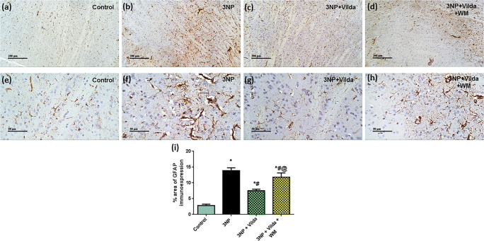 Fig. 10