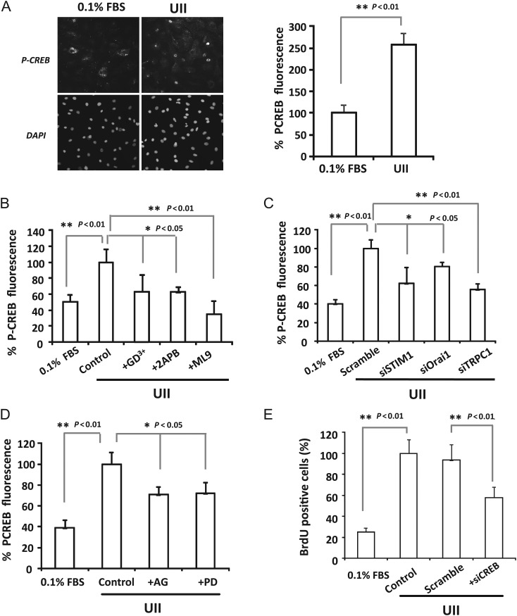 Figure 6