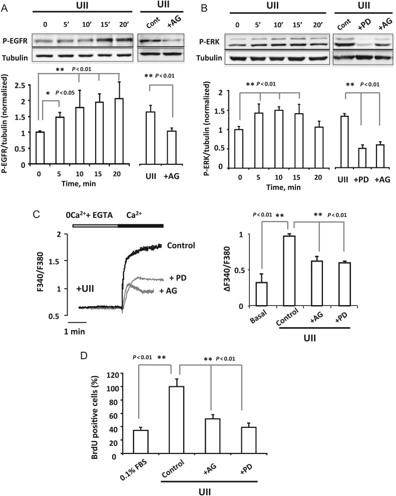 Figure 5