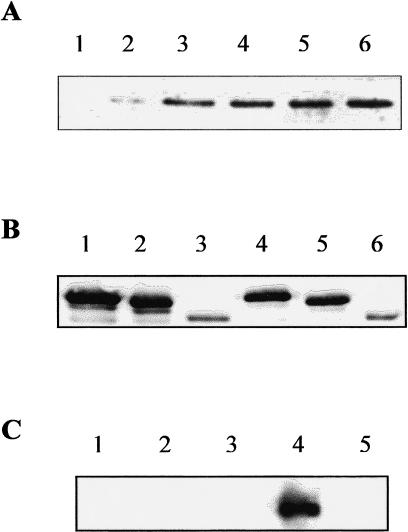 Fig 10.