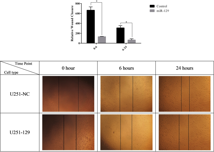 Figure 4