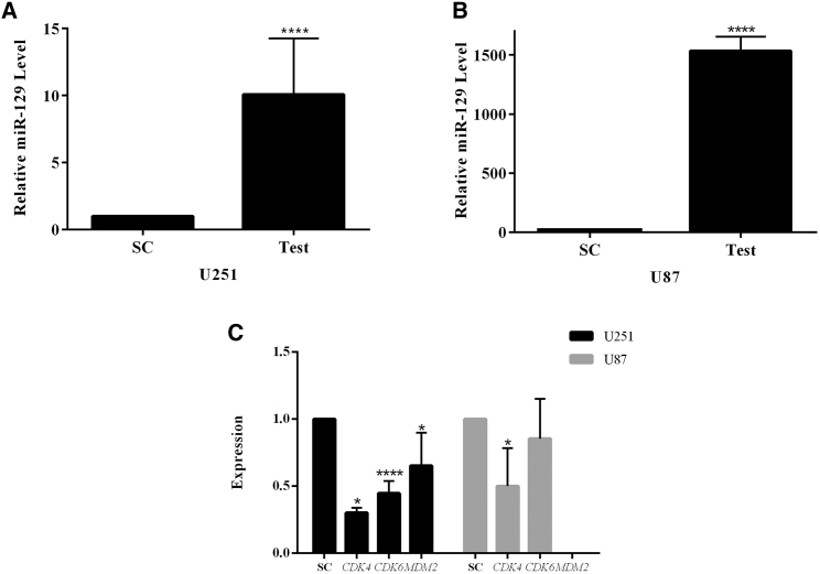 Figure 1