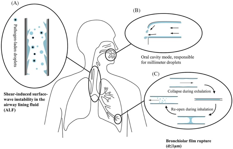 Fig 1