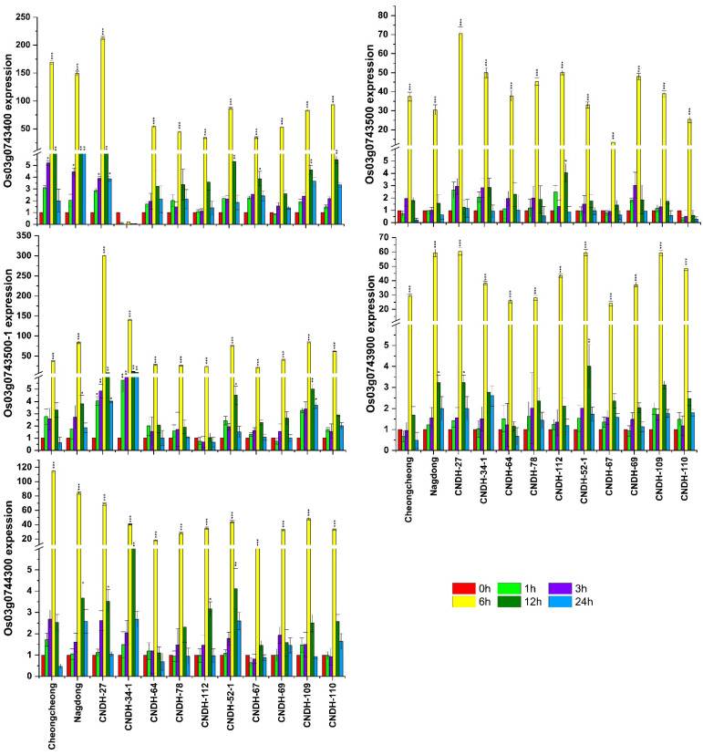 Figure 5