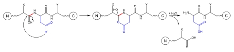 Schematic 3