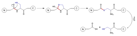 Schematic 4