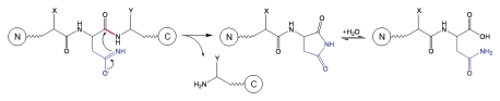 Schematic 7