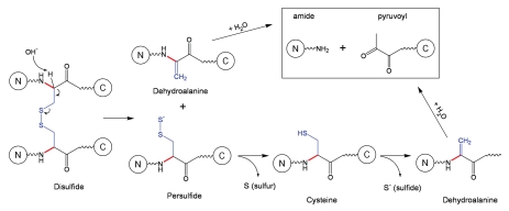 Schematic 6